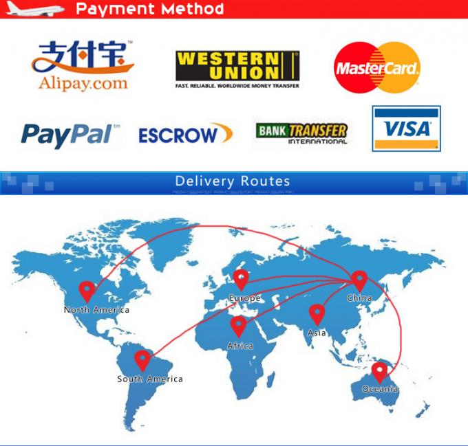 安い信頼できる中国の航空貨物の代理店電池の船便
