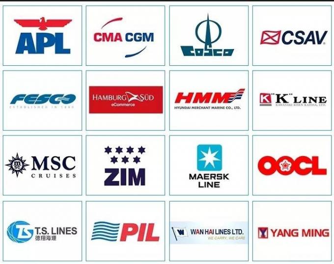 DDPに米国マレーシア シンガポール インドに中国を出荷する速い海の海洋を進める上10の貨物運送業者の代理店Zim